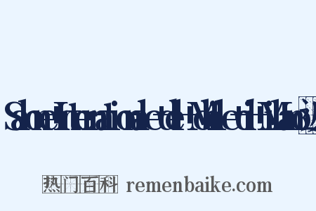 Salone+Internationale+del+Mobile+di+Milano近义词是什么意思的图片